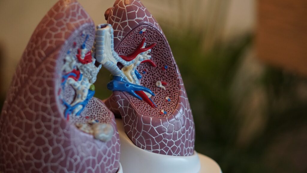 Oxygenation in the Lungs