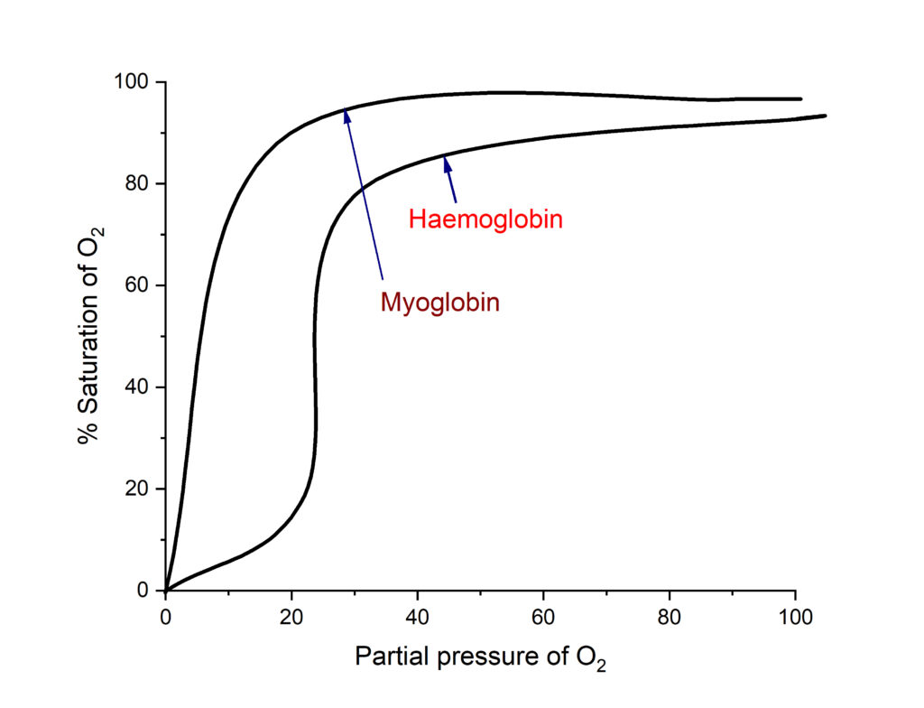 Oxygenation saturation curve