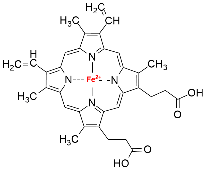 Structure of Heme Unit