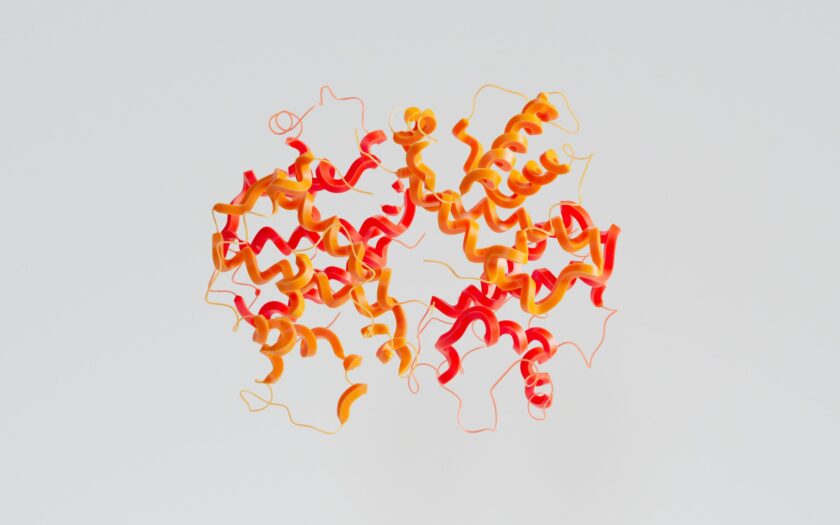 Myoglobin