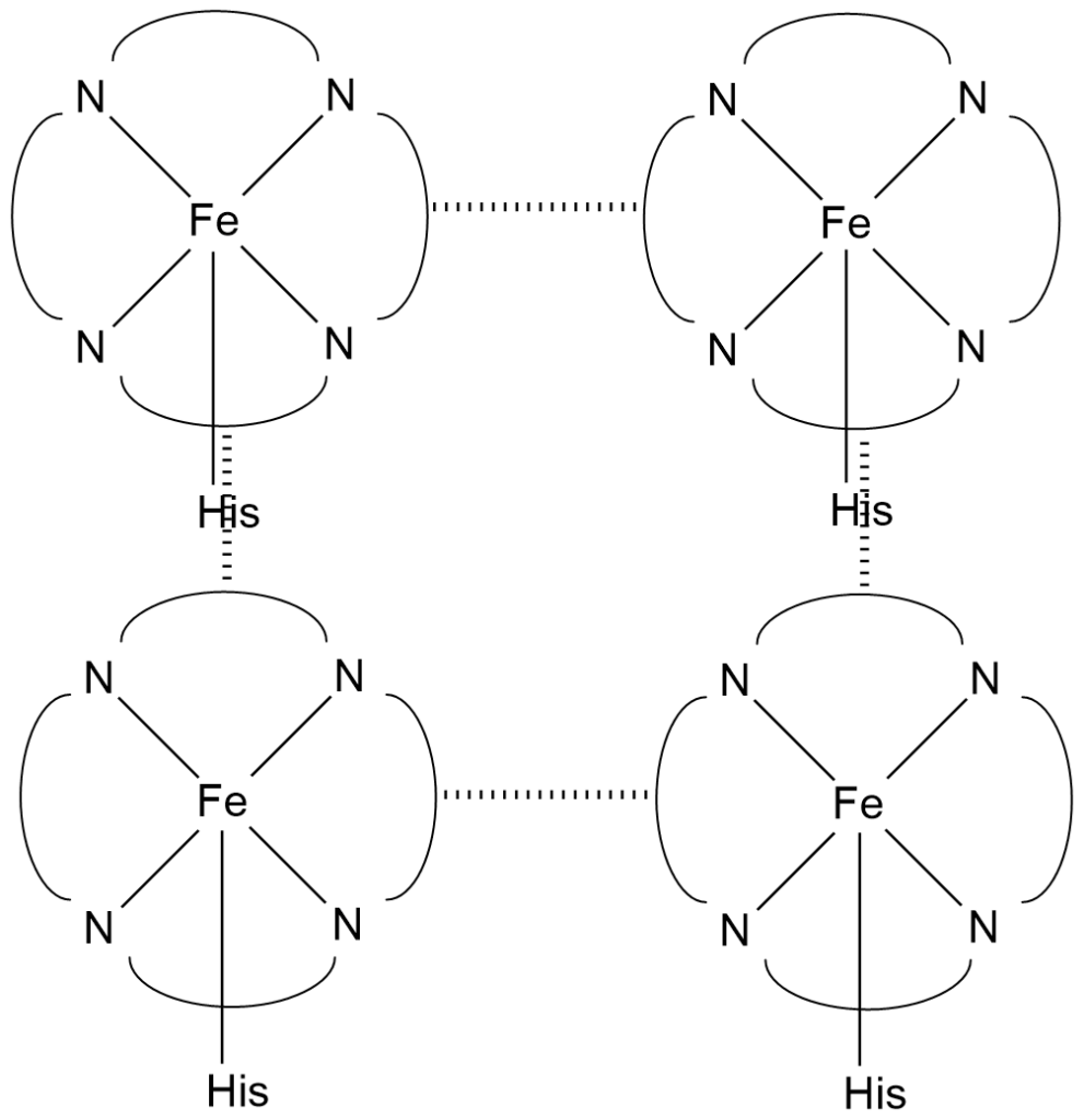 Haemoglobin