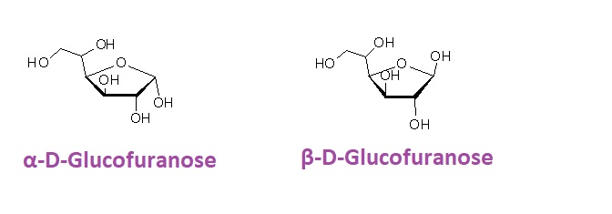 Haworth projection of Glucofuranose