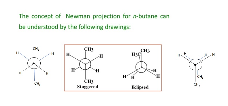 Newman Projection for n butane