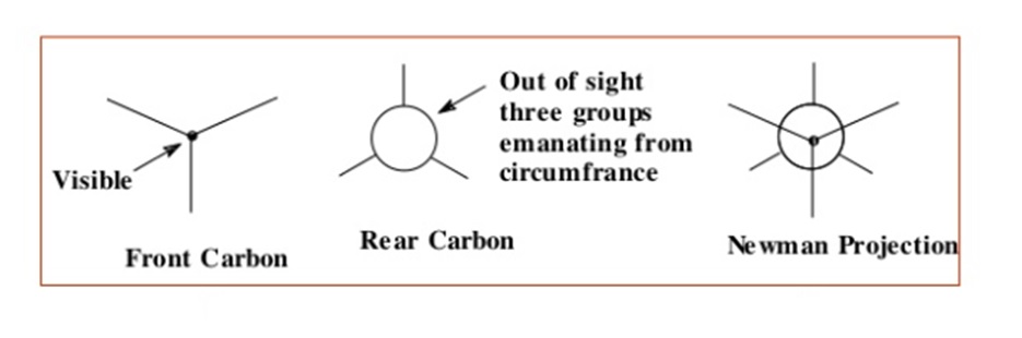 Front & rear carbon of newman projection