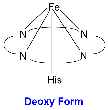 Deoxy Form